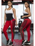 LEGGINS  DEPORTIVA EN NEOPRENO PITBULL REF DN1108