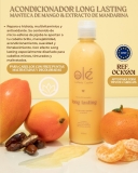 ACONDICIONADOR JARABE DE MANGO REF OC10201