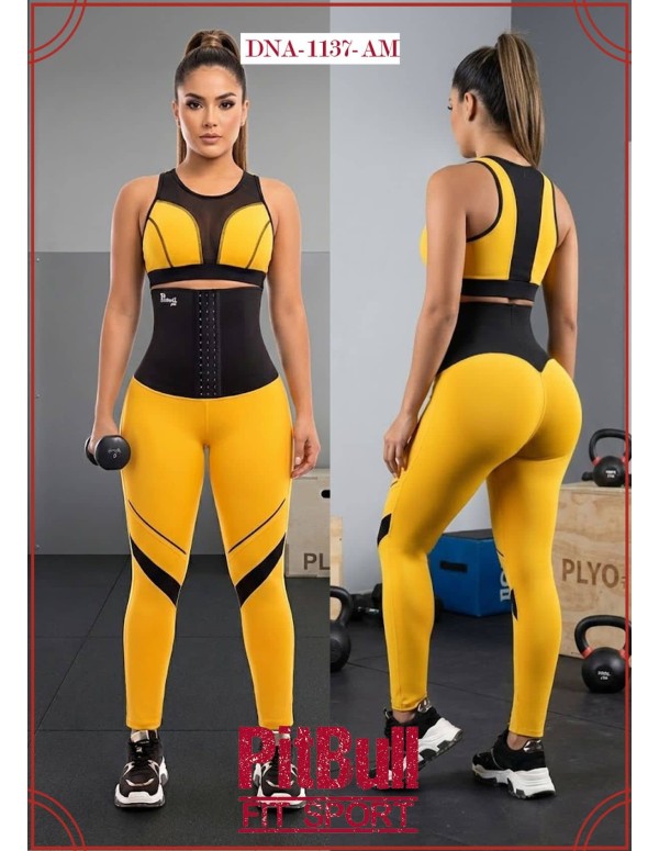 LEGGINS  DEPORTIVA EN NEOPRENO PITBULL REF DNA1137